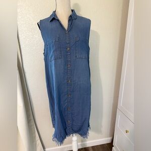 Appraisal Sleeveless Button-Front Denim Shirt Dress - Blue